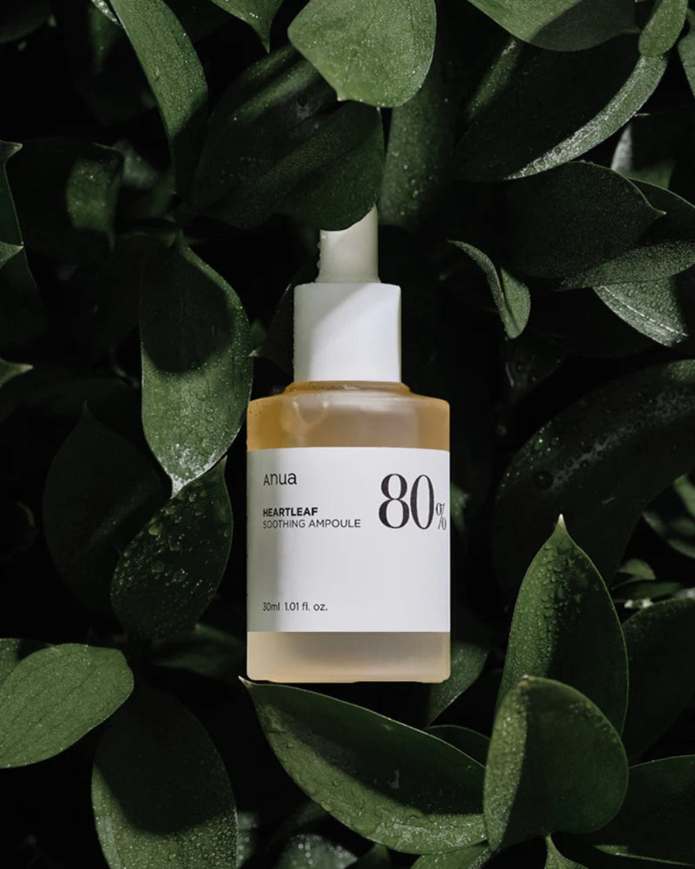 Essence Éclat de Vie